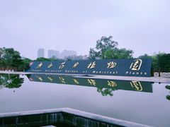 -广西壮族自治区药用植物园
