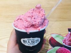 -野人先生现做冰淇淋(北京环宇荟店)
