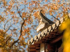 -塔川景区