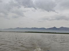 -哈素海