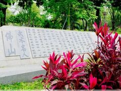 -文华公园(禅城区)
