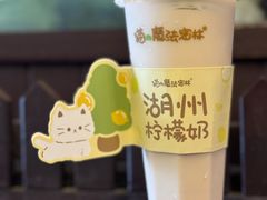 柠檬奶-猫的魔法密林(衣裳街店)