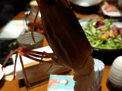 -千代武日本料理(爱建店)