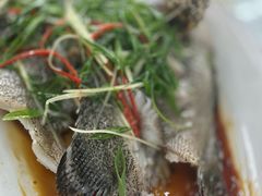 -众味海鲜大排档·活海鲜·潮汕味(南澳店)