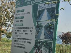-句容茅山景区