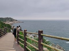 -广东惠东海龟国家级自然保护区