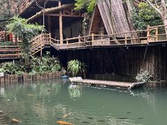 -海南槟榔谷黎苗文化旅游区