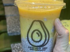 -油梨树AVOCADO TREE(顺义新国展店)