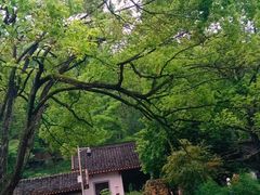 -岳麓山风景名胜区