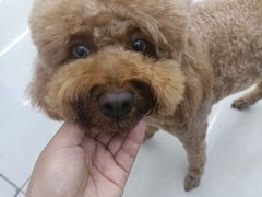 -瑞派宠物医院·中兽医专科(中央商城分院)