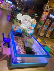 -卡通尼·Safari非洲探索乐园·生日会(金桥国际商业广场店)