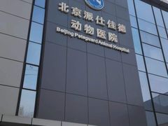 -北京派仕佳德动物医院·超导核磁·CT·神经科·骨科·内外科·急重症管理中心