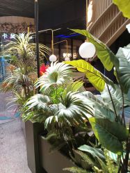 -嗨翻Hi-Fun竞技主题乐园·蹦床团建生日聚会(五棵松华熙店)