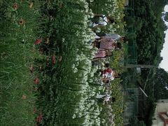 -泉州海丝野生动物世界