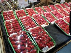 -果蔬好生活超市(乐堤港店)