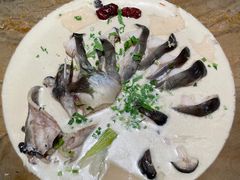 -老福耶小草帽石锅鱼(奥体店)
