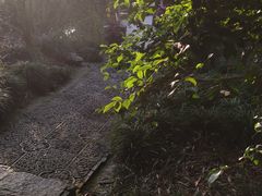 -汇龙潭