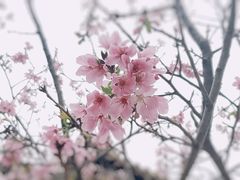 -宝墨园景区