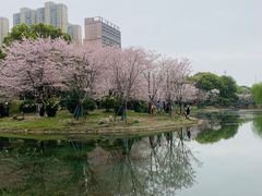 -堤角公园