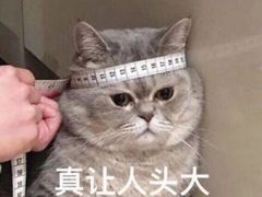 -上关雪東北菜(中房金谊店)