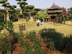 -南宁南湖公园