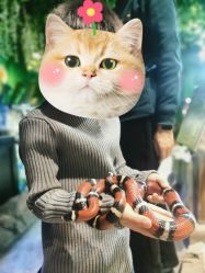 -酷嗒动物文化乐园(cutezoo西溪乐天城店)