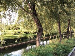-呈贡滇池生态湿地公园