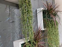 -石家庄市植物园