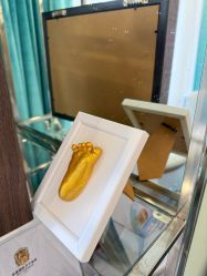 -华美国际月子会所(合生店)