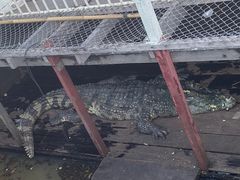 -洞里萨湖