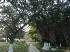 -玉树公园