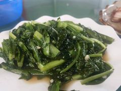 -荔枝红五号农庄