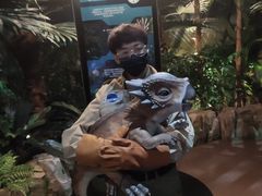 -侏罗纪世界电影特展(广州站)