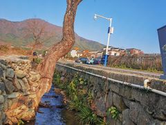 -塔川景区