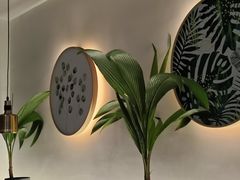 -探窝·竹笙椰子鸡(杨箕店)