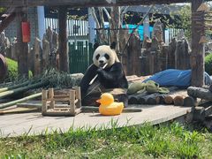 -大连森林动物园