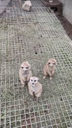 -三分地生态园·儿童乐园