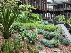 -墨尔本皇家植物园