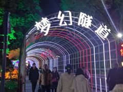 -横店影视城梦幻谷园区