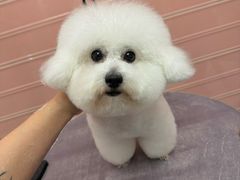 -FAELING PETS美天灵宠物(合生汇店)
