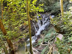 -莫里热带雨林景区