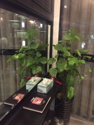 -木北造型