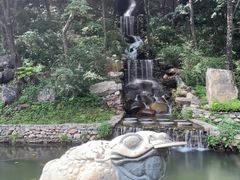 -大连天门山国家森林公园