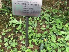 -广州神农草堂中医药博物馆