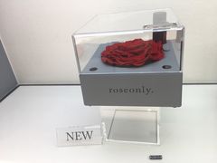-ROSEONLY诺誓(广州K11店)