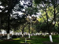 -花溪公园