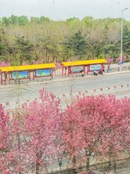 -美德因妇儿医院