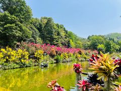 -深圳仙湖植物园
