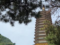 -八大处公园