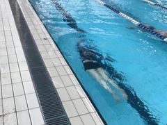 -小海豚国际游泳培训中心(浦东源深体育中心店)